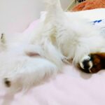 忙しい男性と女性こそ仲人型結婚相談所がおすすめです！