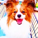 よくあるご質問のぺージを作成！終活セミナー参加者承ります！