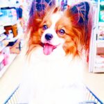企業価値が低くても早く事業承継を進めた方が良い理由