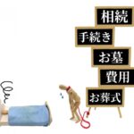 相続の不安解消！葬儀後の手続きをスッキリ理解する方法とは？