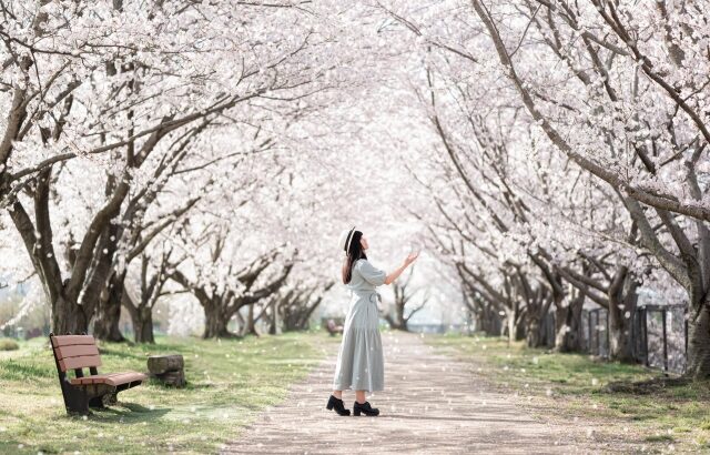 婚活の苦難やお悩みを分かち合う～あなた様専属の仲人がお支えいたします～