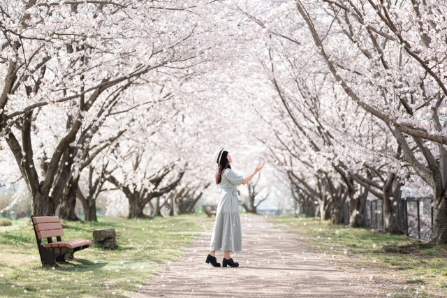 婚活の苦難やお悩みを分かち合う～あなた様専属の仲人がお支えいたします～