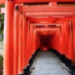 祭祀主宰者とは？指定方法は？付随事項とは？