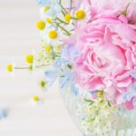婚活での出逢いを成功に導くためには？結婚相談所の魅力と活動のポイント