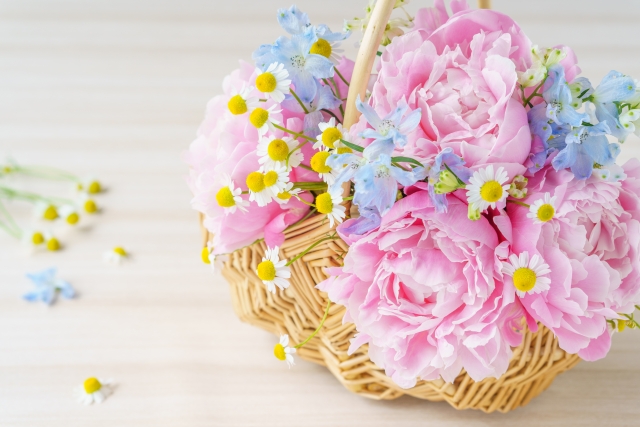 婚活での成功を目指して：結婚相談所で新しい一歩を踏み出しませんか？