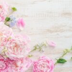 結婚相談所に魅力はあるのか？