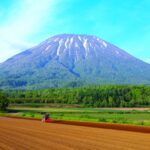 農地の相続をスムーズに行う方法とは？