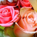 学校の先生こそ夏休み期間を使って婚活をすべき理由とは？
